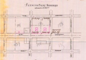 Planimetria generale - progetto edilizio casa Berteu/Saccareli (ASCT, PE I cat. 1905/432)